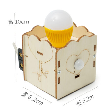 Motion sensor light